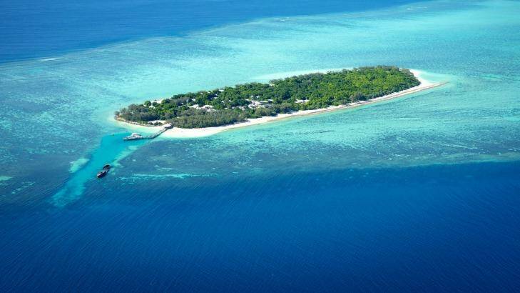 A laidback escape for nature lovers: Heron Island.