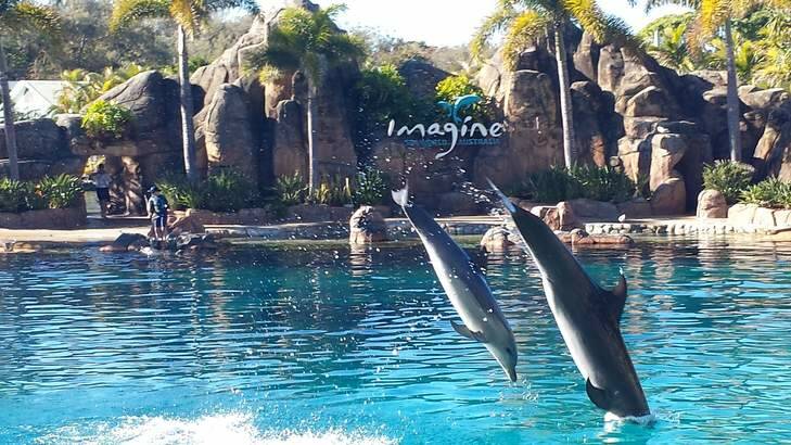 Sea World has undergone an upgrade of its rooms, and remains a family favourite. Photo: Simon Holt