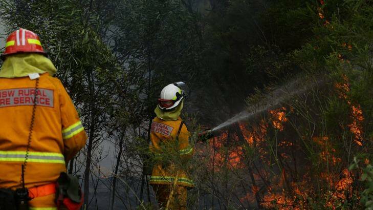 Firefighters fight the bushfire in Kurri Kurri. Photo: Jonathan Carroll