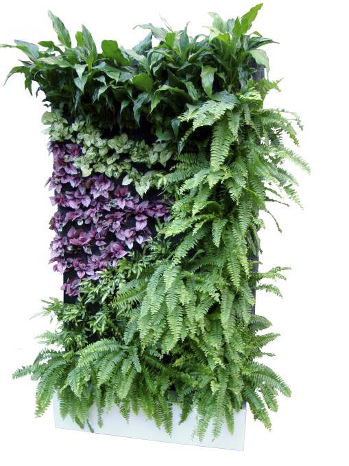 Vertical gardens by Living Holmes Design, Melbourne, supplied by Travis Holmes.