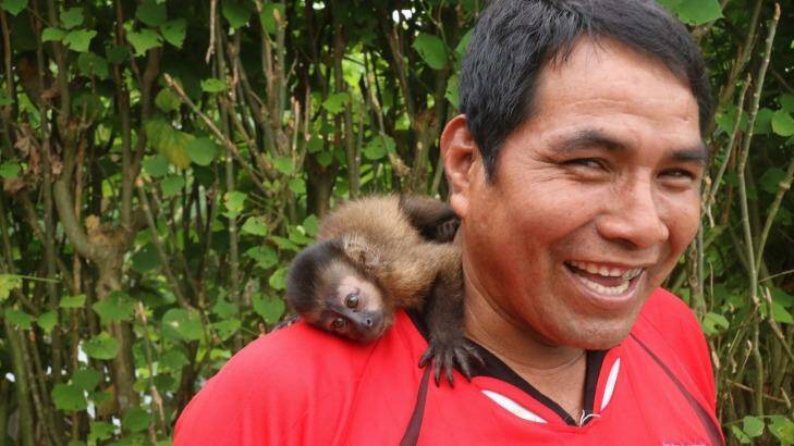 Man and monkey – the orphaned capuchin monkey rescued from the rainforest, now  a pet. Photo: Louise Southerden