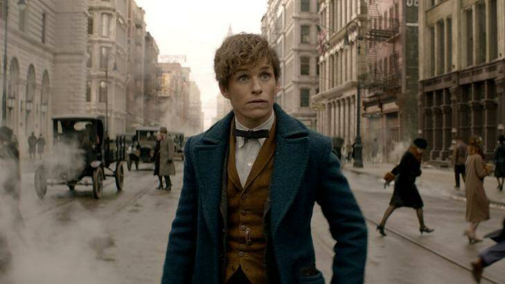Eddie Remayne stars as Newt Scamander in Fantastic Beasts and Where to Find Them Photo: Warner Bros Pictures