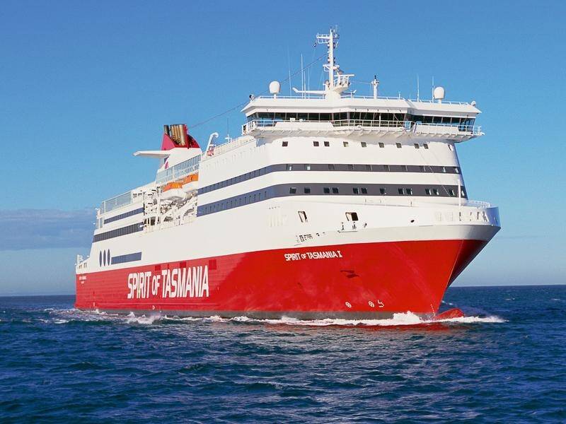 Officials cannot explain the deaths of 16 horses that went on the Spirit of Tasmania to Melbourne.