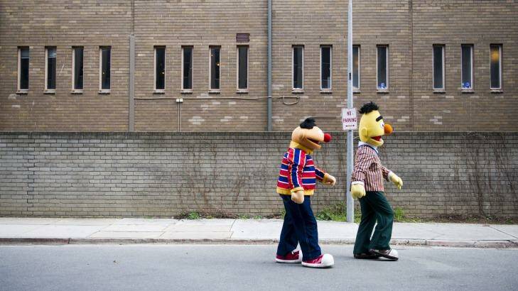 Sesame Street's Bert and Ernie outside the Canberra Theatre.  Photo: Rohan Thomson