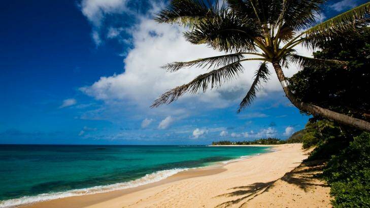 Oahu's north shore is home to the world's most famous surf beaches.