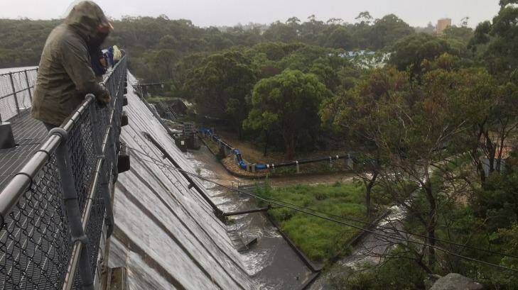 The Manly Dam on Wednesday morning. Photo: Peter Rae