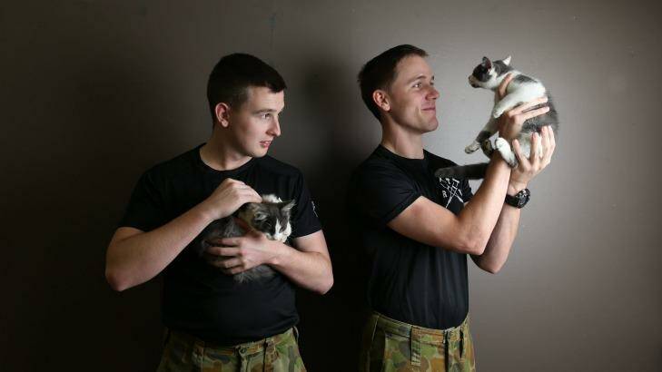 Australian soldiers Nick Shore and Jesse James Thring with kittens at the Sydney Dogs and Cats home. Photo: Louise Kennerley
