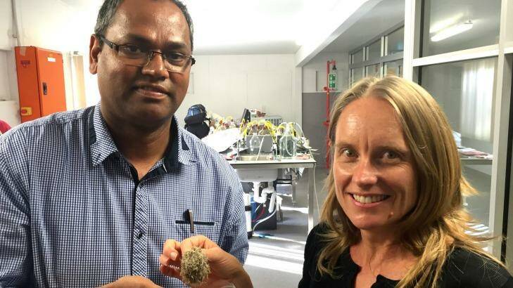 Griffith School of Engineering lecturer Prasad Kaparaju and Utilitas CEO Fiona Waterhouse. Photo: Supplied