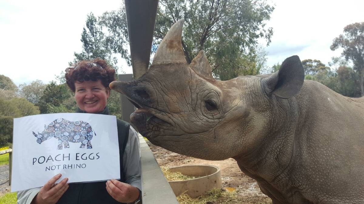 Taronga Western Plains Zoo keeper Nerida Taylor with one of the zoo's black rhinos. Photo: CONTRIBUTED