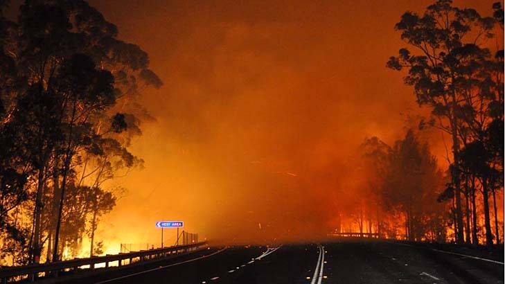 A bushfire in Shoalhaven crosses the Princes Highway on Wednesday night.