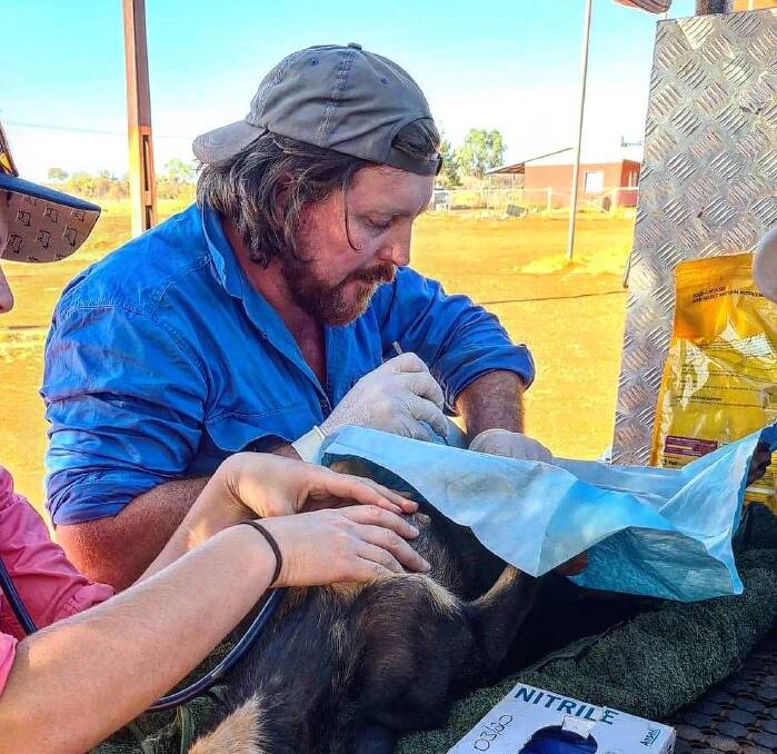 Dr Campbell Costello working in a makeshift surgery trying to save yet another dog from a highly lethal new disease. 