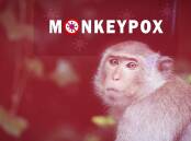 The monkeypox vaccine rollout has begun for some at-risk groups. Picture: Shutterstock