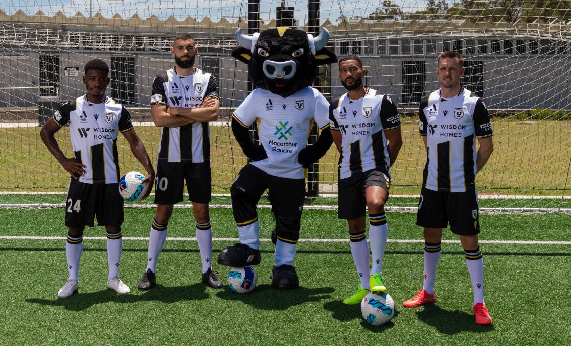 Have your say: The unnamed bull with Charles M'Mombwa, Tomislav Uskok, Adrian Mariappa and Craig Noone. Picture: Supplied