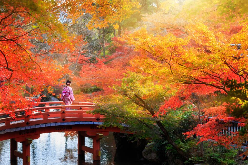 COLOUR BURST: Capture the splendour of Japan’s autumnal colours on a 16-night cruise.