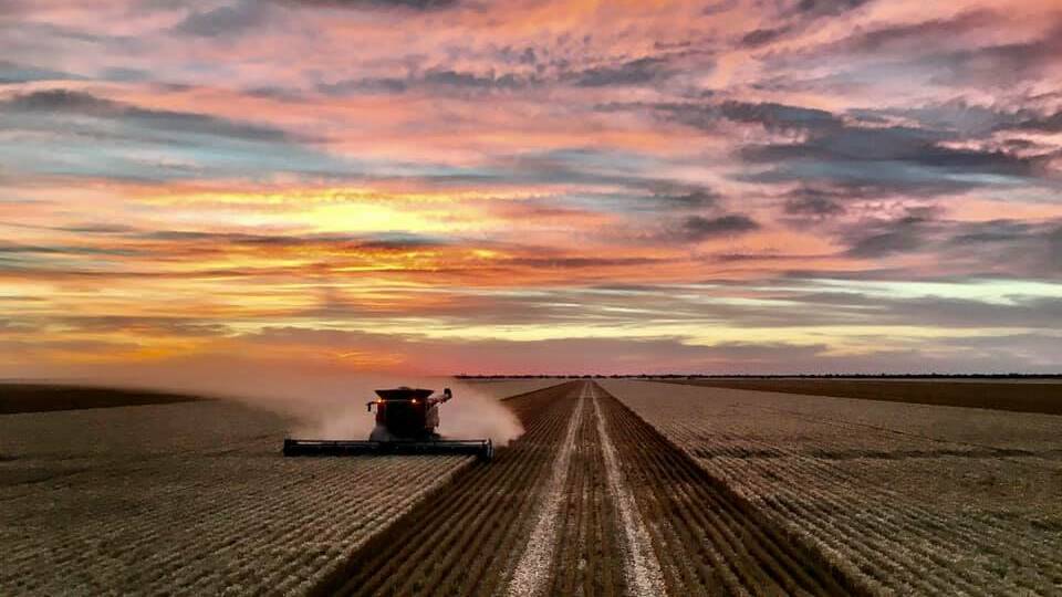 The Land reader Craig Newberry sent in this incredible photo from harvest 2020.