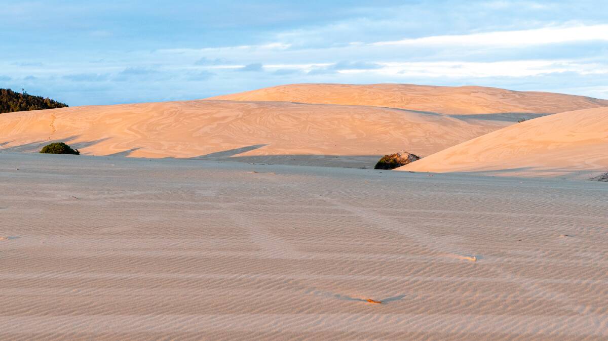 The Stockton Sand Dunes are among the longest in the Southern Hemisphere.