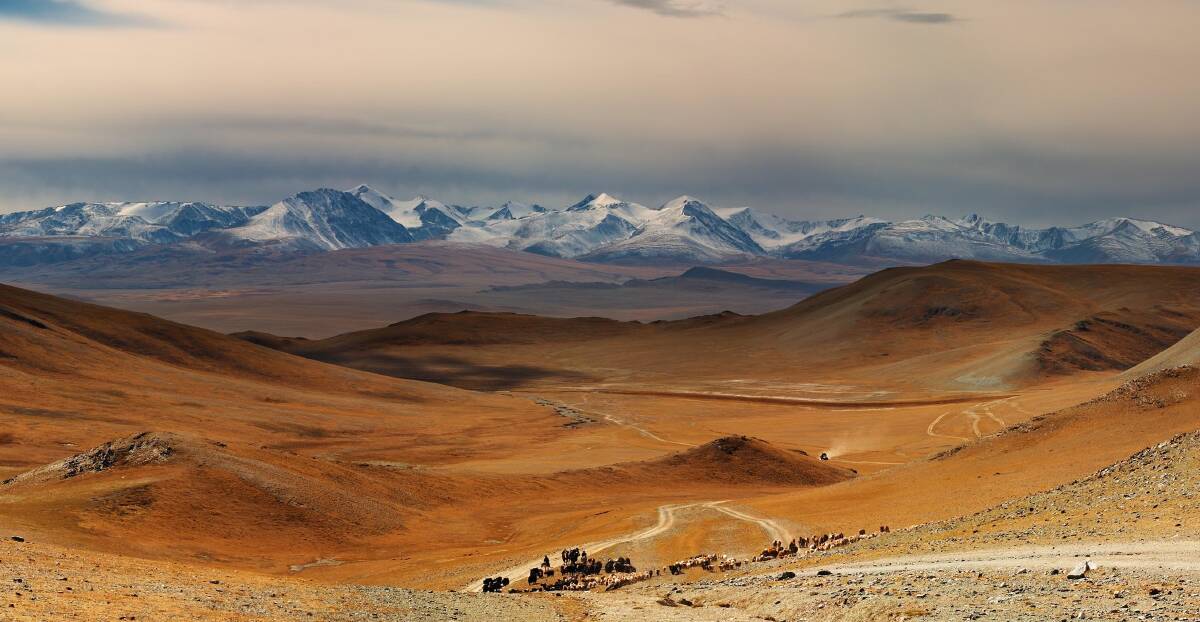 The Gobi Desert: a highlight of the little known country of Mongolia.