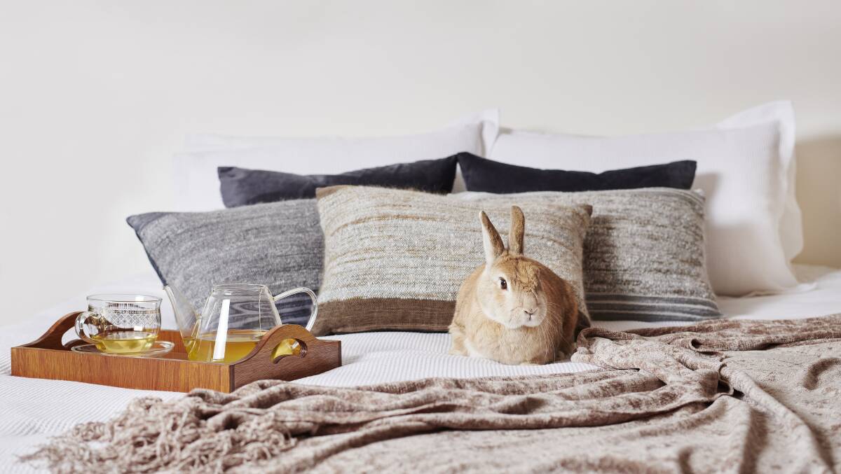 Dalia said her bunny pillows have become best sellers as "they are like soft clouds you can hug - and they look wonderful and luxurious too". 
