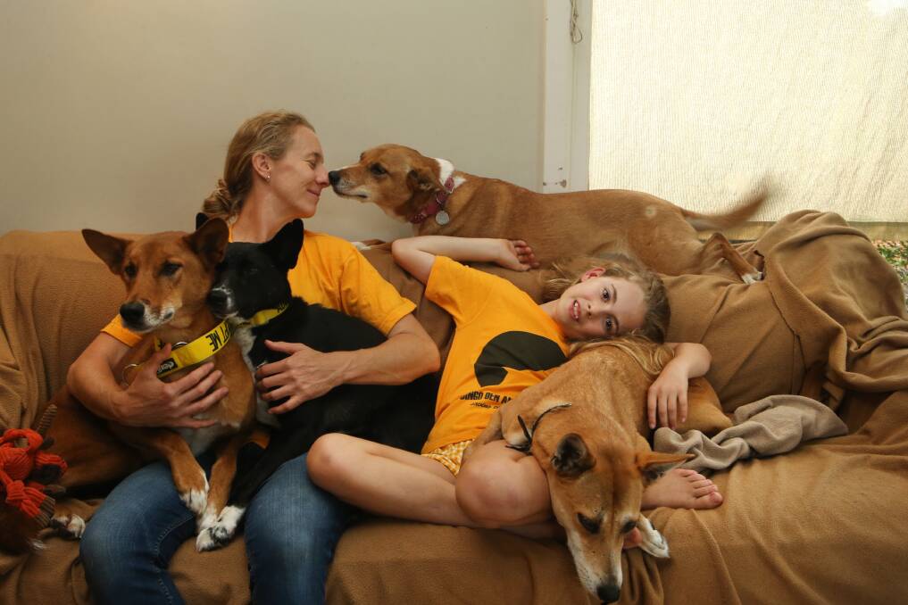 Independent spirit: Belinda Whitten at home with her daughter Ada and dingoes Banjo, Kimba, Biscuit and Honey. Picture: Sylvia Liber