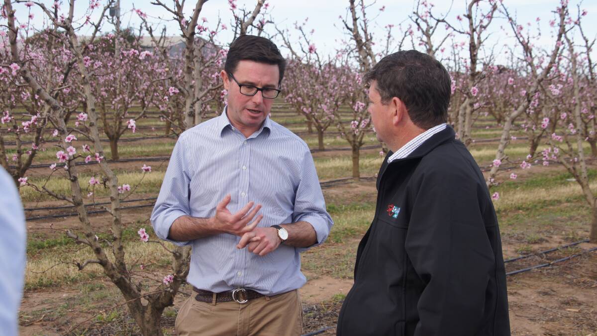 Water Minister David Littleproud in a nectarine crop at Swan Hill.