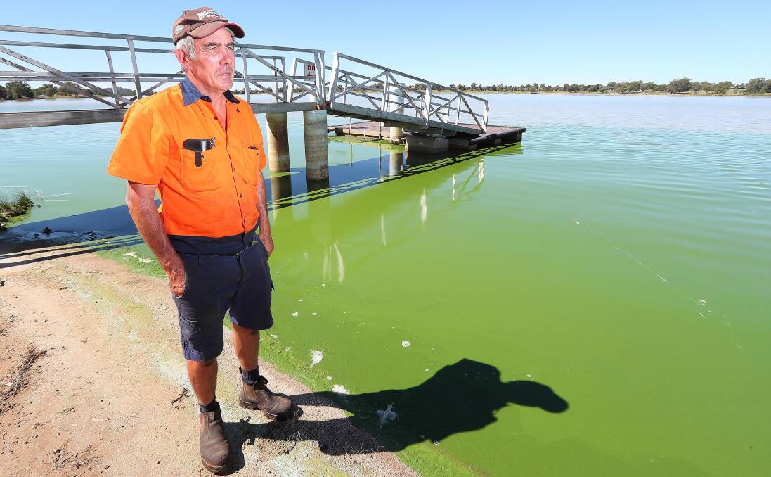 Commodore of the Wagga Boat Club, Mick Henderson, pictured at Lake Albert in March 2018, when blue-green algae was rife.