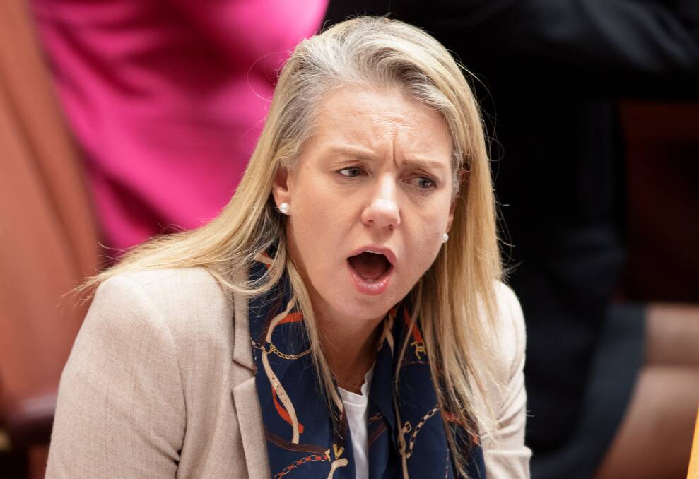 Bridget McKenzie said political risk, not financial risk, was driving bank decisions. Picture: Sitthixay Ditthavong