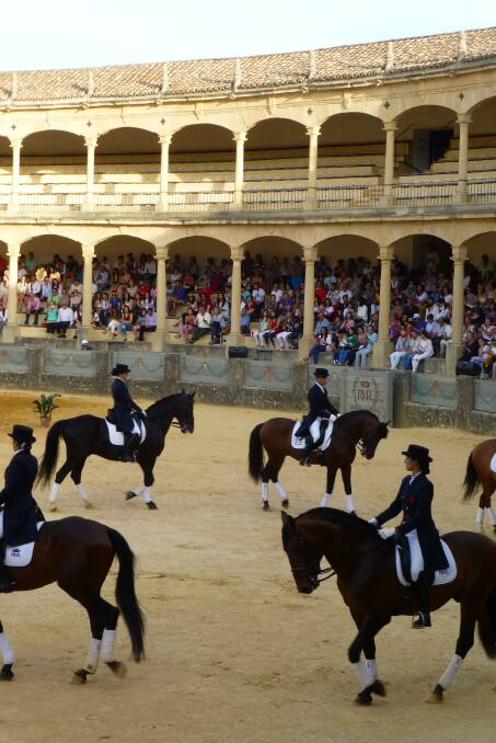 In the bullring with the Andalusian dancing horses. Photo: Nicole Phillips