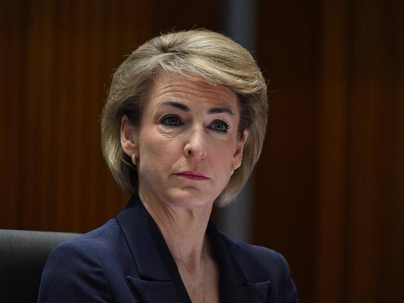 Michaelia Cash says a bill for an integrity commission is unlikely to be introduced this year.