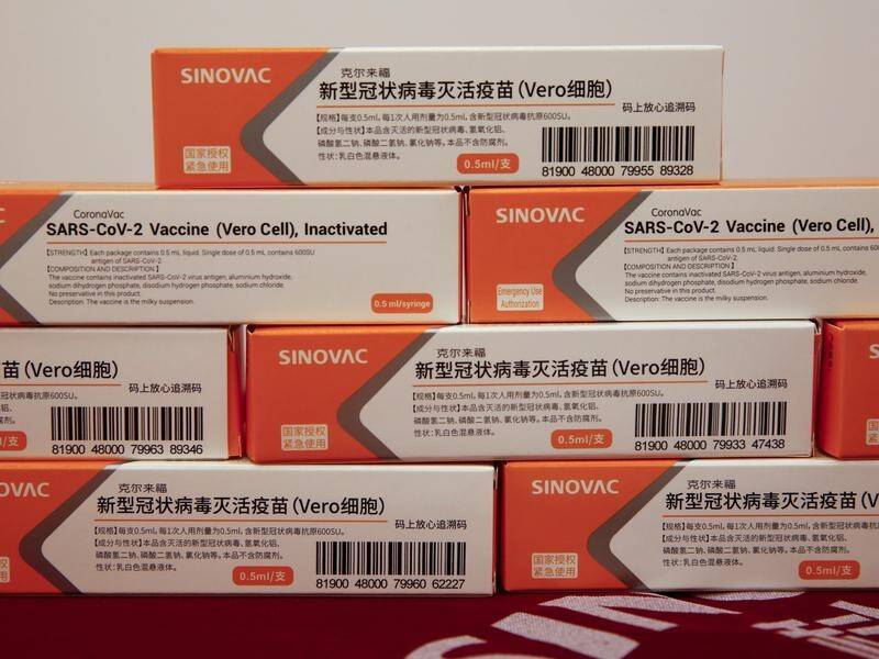 Sinovac's COVID-19 vaccine CoronaVac will be ready by early next year, the Chinese company says.