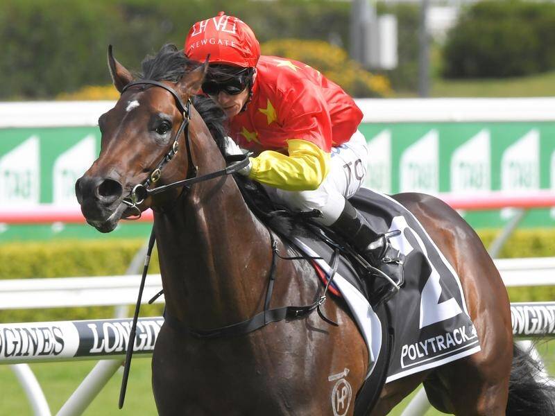 Cosmic Force will spearhead a strong Snowden stable challenge in the Arrowfield 3YO Sprint.