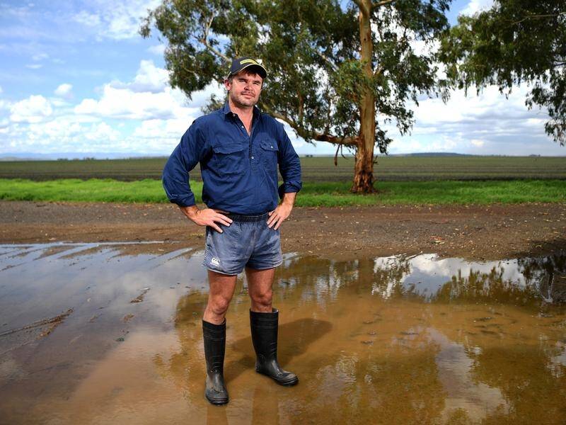 Heavy rain has delivered a reprieve for drought-hit Queensland farmers like David Buckley.