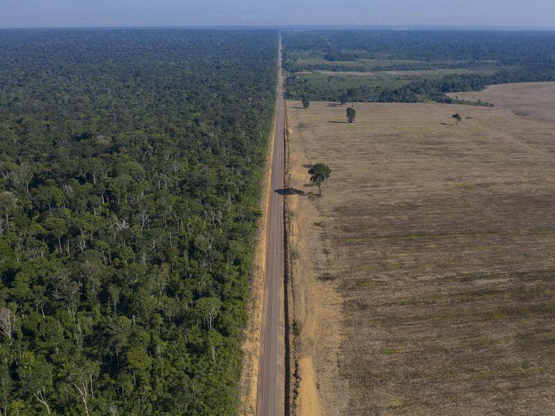 Brazil is under intense pressure to rein in destruction of the world's largest tropical rainforest.
