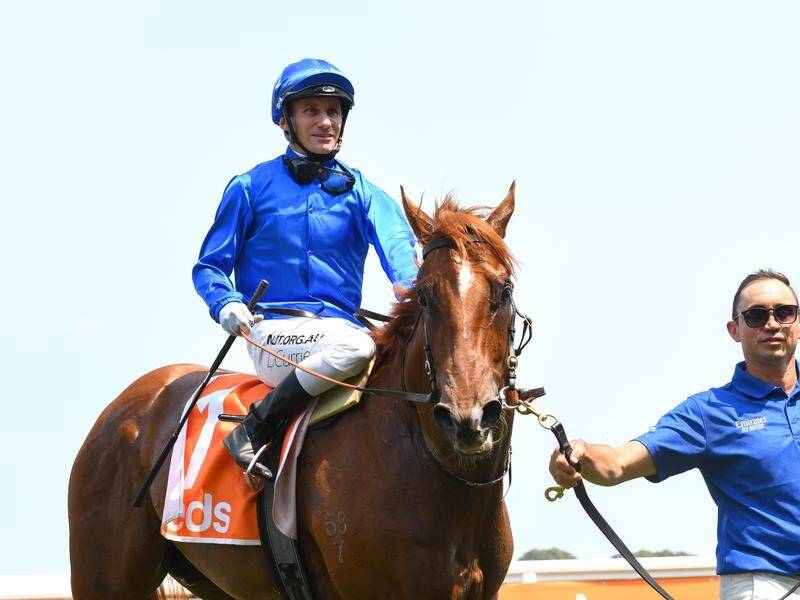 Luke Currie will miss the ride on Blue Diamond favourite Hanseatic after a fall at The Valley.