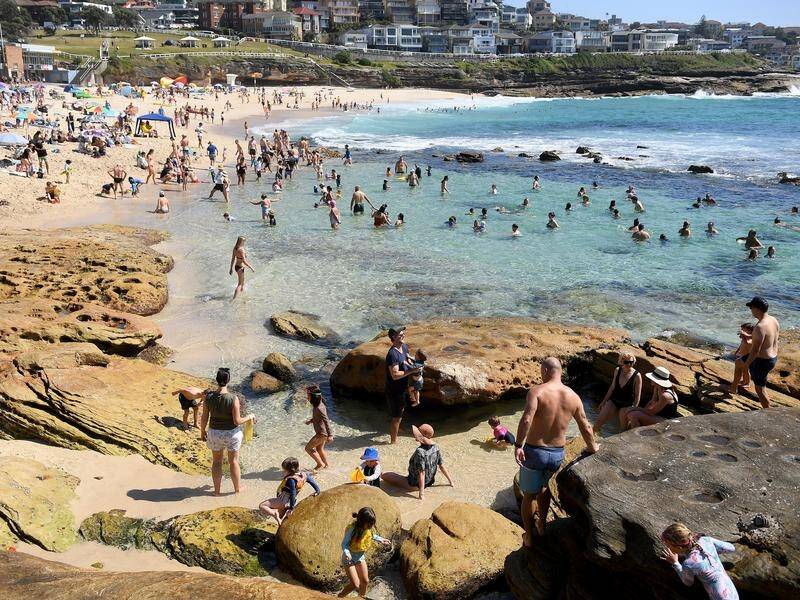 Heatwave conditions and warm nights are forecast for much of Australia's southeast including Sydney.
