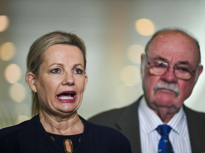Environment Minister Sussan Ley (left) says net zero carbon emissions by 2050 will happen.