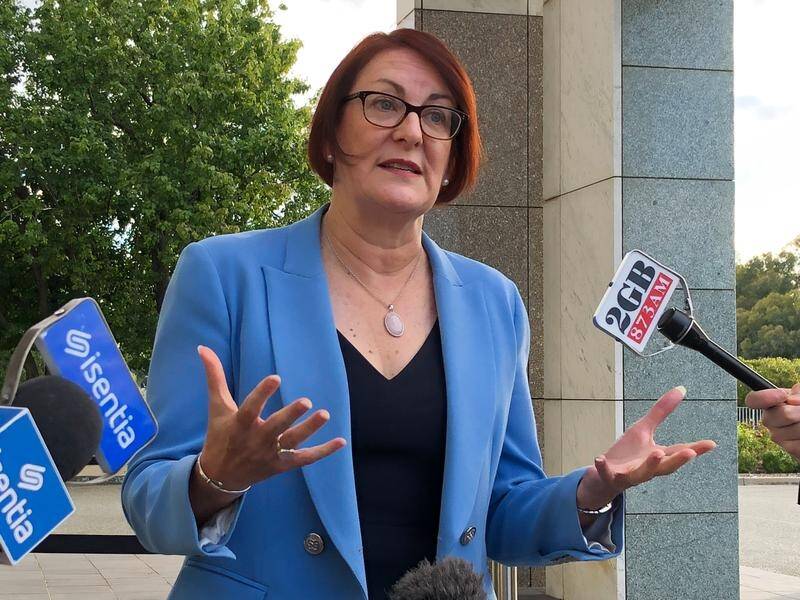 Labor's Susan Templeman says Australians are stuck with an "unequal" National Broadband Network.