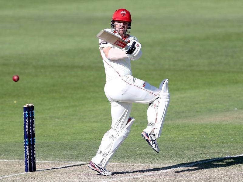 Travis Head has returned to form with a big Shield century for SA.