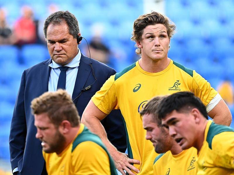 Australia had a great Rugby Championship in between defeats to NZ and an unimpressive Spring Tour.