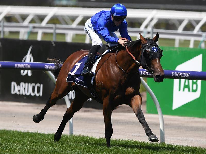 Microphone will be a new addition to Darley Stud's southern hemisphere stallion roster in 2020.