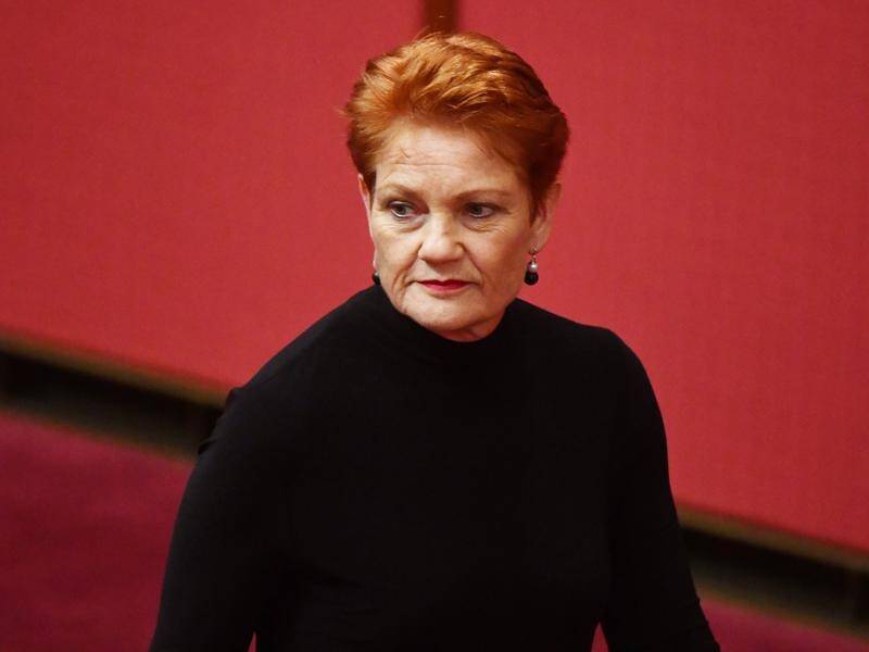 Pauline Hanson wants the federal government to strip the banks of any planned corporate tax cuts.