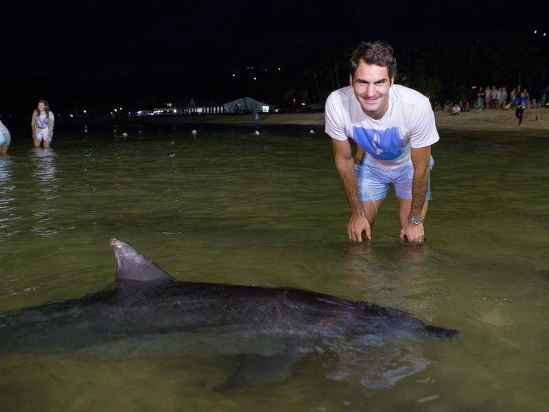Roger Federer spent time on Tangalooma Island in 2015, could NRL players base there later in 2020?