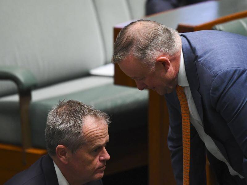 Anthony Albanese has brushed off a thinly-veiled swipe from former Labor leader Bill Shorten.