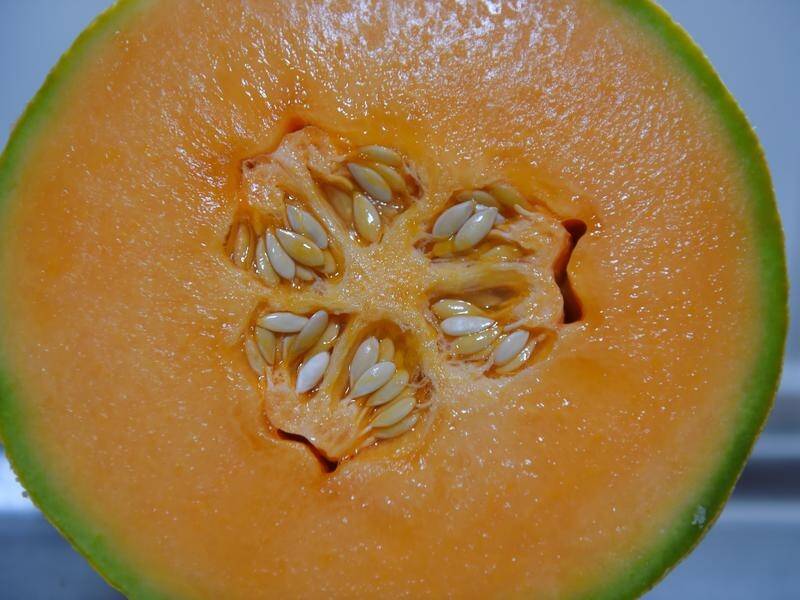 More cases may be reported in countries that bought listeria-tained rockmelons, the WHO says.
