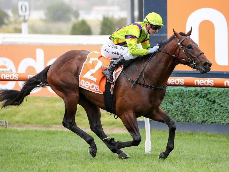 General Beau has taken out the colts and geldings' division of the Blue Diamond Preview.