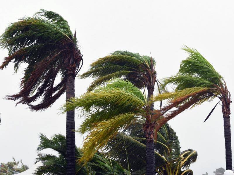 Wind gusts of up to 100km/h were recorded as Tropical Cyclone Imogen crossed the coast.