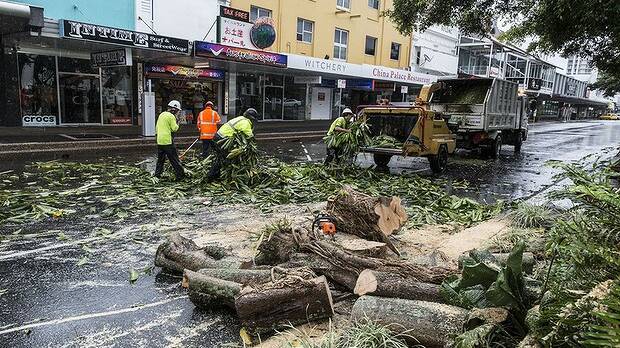 Council workers remove a fallen tree from Abbott Street, Cairns as the remains of Cyclone Ita hits the far north Queensland centre. Photo: Glenn Hunt