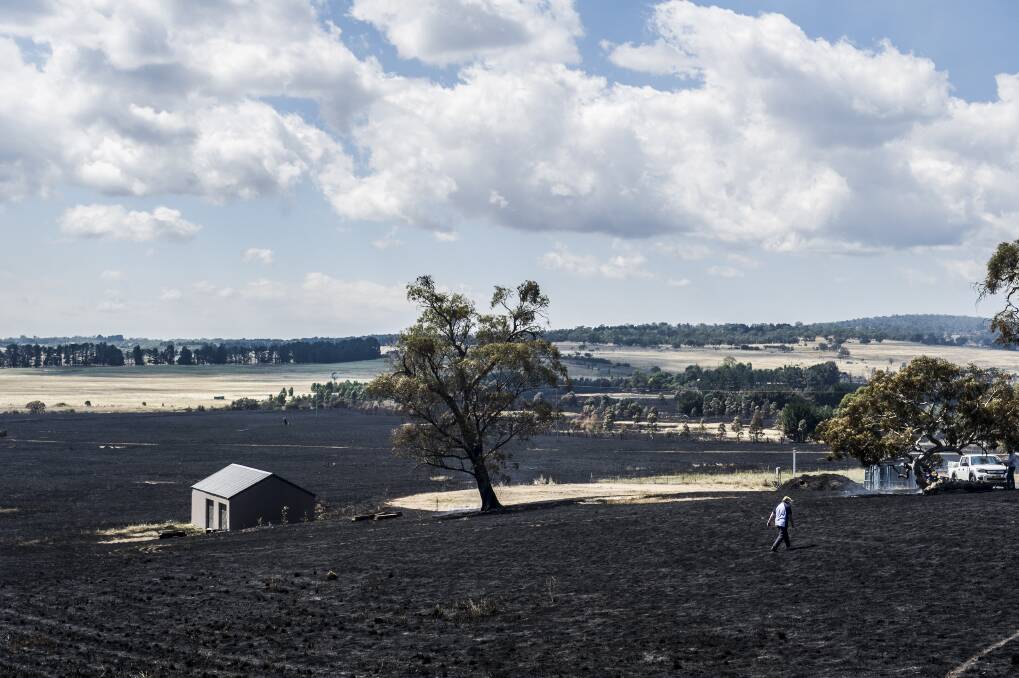 Burnt land on Hazeldell Rd, near Bungendore on January 9, 2013. Photo: Rohan Thomson