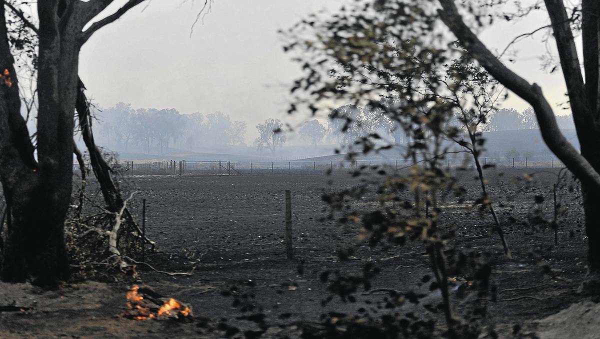 The blaze takes over paddocks at Tarcutta, near Wagga threatening the township. Picture: Oscar Colman